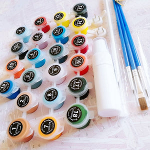 DIY Paint By the Number Kit 1