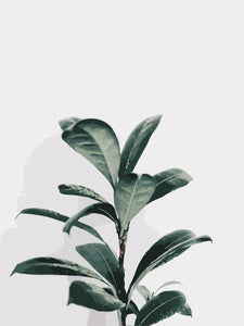 Plant Leaf Landscape